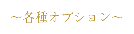 各種オプション